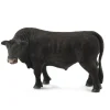 Black Angus Bull