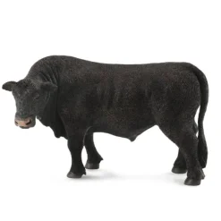 Black Angus Bull