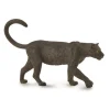 Black Leopard