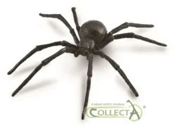 Black Widow Spider