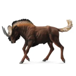 Black Wildebeest