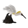 Black-faced Spoonbill (Walking)