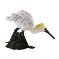 Black-faced Spoonbill (Walking)