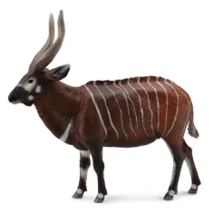 Bongo Antelope