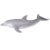 Bottlenose Dolphin