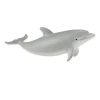 Bottlenose Dolphin Calf