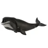 Bowhead Whale