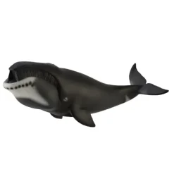 Bowhead Whale