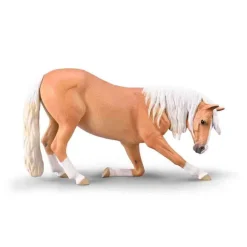 Bowing Lusitano mare Palomino