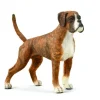 Boxer