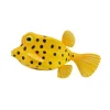Boxfish
