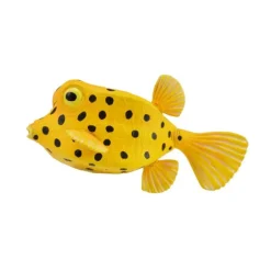 Boxfish