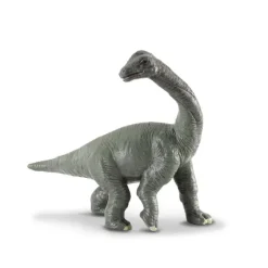 Brachiosaurus Baby