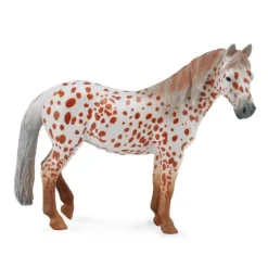 British Spotted Pony Mare Chestnut Leopard