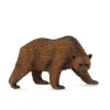 Brown Bear