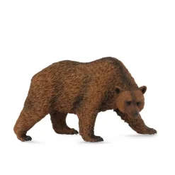 Brown Bear
