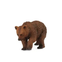 Brown Bear Cub
