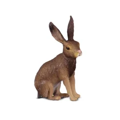 Brown Hare