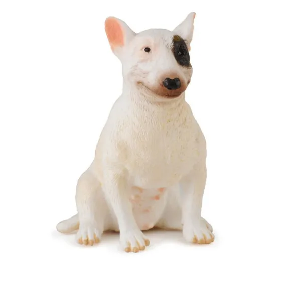 Bull Terrier Female