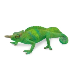 Cameroon Sailfin Chameleon