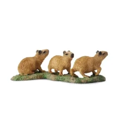 Capybara Babies