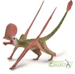Caviramus with Movable Jaw - 1: 2 Scale