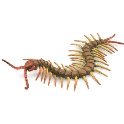 Centipede