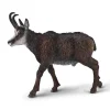 Chamois