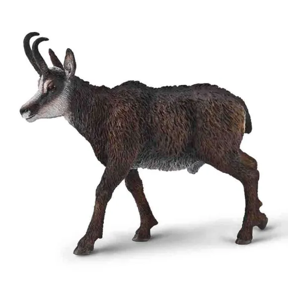 Chamois