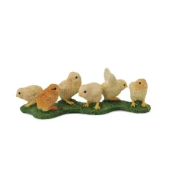 Chicks