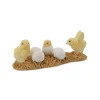 Chicks Hatching