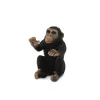Chimpanzee Cub Hugging
