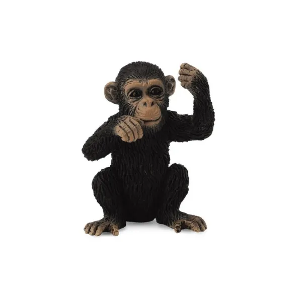 Chimpanzee Cub Thinking