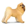 Chow Chow