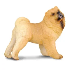Chow Chow