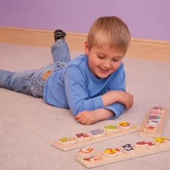 Chunky Lift and Match Toys Puzzle