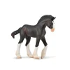 Clydesdale Foal - Black