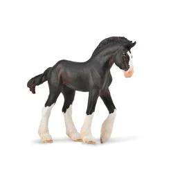 Clydesdale Foal - Black