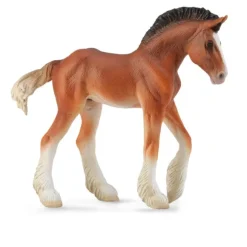 Clydesdale Foal Bay