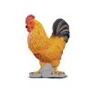 Cockerel