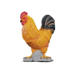 Cockerel