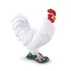 Cockerel White