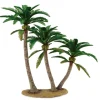 Coconut Palm