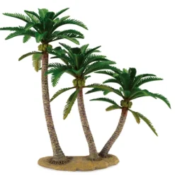 Coconut Palm