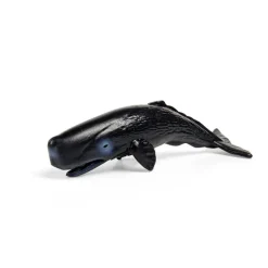 CollectA Box of Mini Sea Animals 2