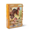 CollectA Horse Country Playbook