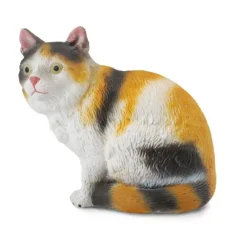3 Colour House Cat Sitting