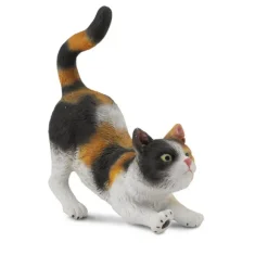 3 Colour House Cat Stretching