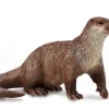 Common Otter