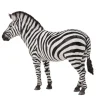 Common Zebra